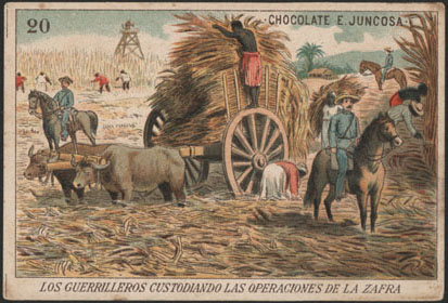 Spanish troops surveilling the sugar cane harvest